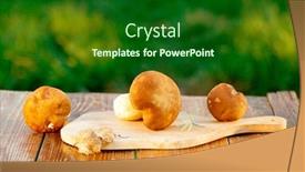  Presentation with organic cooking - PPT theme having boletus-edulis-over-wooden-background background and a forest green colored foreground