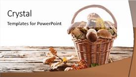  Presentation with mushrooms - Beautiful PPT layouts featuring mycelium - boletus mushrooms in a basket backdrop and a white colored foreground