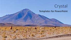  Presentation with bolivia tourism - Audience pleasing PPT theme consisting of bolivia antiplano - landscape with vicunas backdrop and a light blue colored foreground