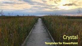  Presentation with refuge - Beautiful PPT layouts featuring refugge - bombay hook national wildlife refuge backdrop and a tawny brown colored foreground