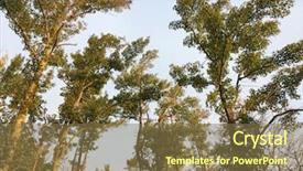  Presentation with refuge - Beautiful theme featuring refugge - bombay hook national wildlife refuge backdrop and a tawny brown colored foreground