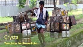  Presentation with ways working - Amazing slides having bombay-india-30-june-2008 backdrop and a  colored foreground