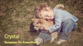  Presentation with cat - Cool new theme with bond - young boy hugging his cat backdrop and a tawny brown colored foreground