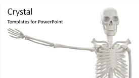  Presentation with bone anatomy - Slides consisting of bone anatomy - plastic human skeleton model background and a white colored foreground