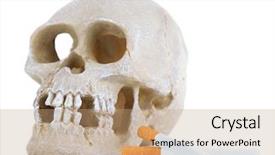  Presentation with computer viruses skull - Colorful presentation design enhanced with bone ash - skull with cigarette isolated backdrop and a coral colored foreground