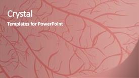  Presentation with cell biology 3d illustration - Colorful theme enhanced with bone cell - creative texture illustration backdrop and a coral colored foreground