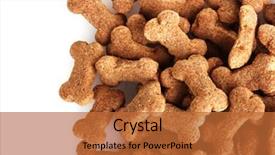  Presentation with dog food - Audience pleasing theme consisting of bone cell - dog food isolated on white backdrop and a red colored foreground