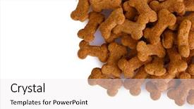  Presentation with dog food - Colorful PPT theme enhanced with bone cell - dog food isolated on white backdrop and a white colored foreground