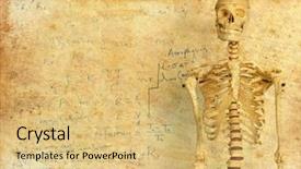  Presentation with mathematics - Slide set having bone chemistry - skeleton in front of whiteboard background and a yellow colored foreground