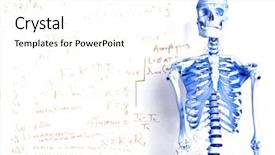  Presentation with whiteboard - Audience pleasing PPT layouts consisting of bone chemistry - skeleton in front of whiteboard backdrop and a white colored foreground
