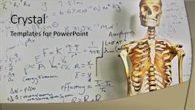  Presentation with mathematics - Slide deck consisting of bone chemistry - skeleton in front of whiteboard background and a light gray colored foreground