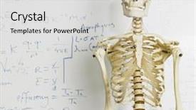  Presentation with whiteboard - Cool new PPT theme with bone chemistry - skeleton in front of whiteboard backdrop and a light gray colored foreground