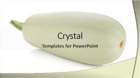  Presentation with fresh fruit retailer - Slide deck consisting of bone marrow - fresh zucchini fruit isolated background and a  colored foreground