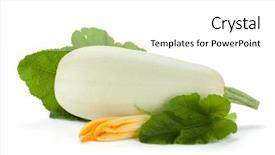  Presentation with tea leaves fresh green leaf - Slide deck with bone marrow - fresh zucchini fruit with green background and a  colored foreground