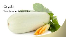  Presentation with tea leaves fresh green leaf - PPT theme consisting of bone marrow - fresh zucchini fruit with green background and a white colored foreground