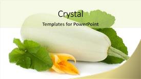  Presentation with bone marrow - Slides having bone marrow - fresh zucchini fruit with green background and a  colored foreground