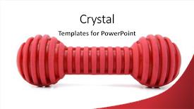  Presentation with bone - Colorful PPT layouts enhanced with bone rubber toy for dogs backdrop and a white colored foreground