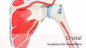  Presentation with bone - Beautiful PPT theme featuring bones joints - close-up of a shoulder bone backdrop and a lemonade colored foreground
