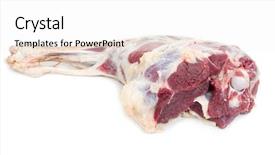  Presentation with lion lamb - Presentation design featuring bones legs - raw lamb leg background and a white colored foreground