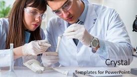  Presentation with animals - Colorful slide deck enhanced with bones of extinct animal backdrop and a light blue colored foreground