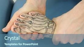  Presentation with anatomy bones - Presentation featuring bones on the skin background and a ocean colored foreground