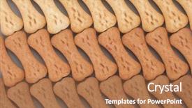 Presentation with dogs - Amazing slide deck having bonew - snack food for dogs biscuits backdrop and a coral colored foreground