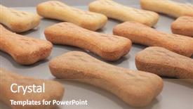  Presentation with production line - Amazing PPT theme having bonew - snack food for dogs biscuits backdrop and a coral colored foreground