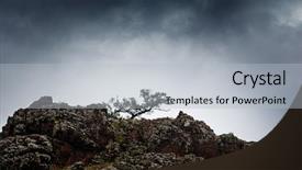  Presentation with growing tree - Colorful theme enhanced with pine tree growing on rock backdrop and a light gray colored foreground