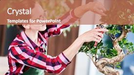  Presentation with bonsai - Amazing slides having bonsai tending houseplant growth pruning backdrop and a coral colored foreground