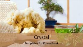  Presentation with japanese green tea - Colorful theme enhanced with bonsai tree against a traditional backdrop and a coral colored foreground