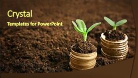  Presentation with bonus - Beautiful PPT layouts featuring bonus - coins in soil with young backdrop and a tawny brown colored foreground