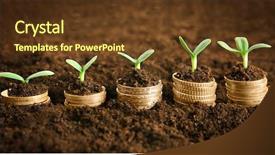  Presentation with bonus - Slides featuring bonus - coins in soil with young background and a tawny brown colored foreground