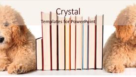  Presentation with doodle - PPT layouts having baby reading book - two golden doodle puppies background and a lemonade colored foreground