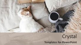  Presentation with cold coffee - Audience pleasing PPT layouts consisting of book and drinking warm coffee backdrop and a mint green colored foreground