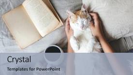  Presentation with cold coffee - Amazing PPT theme having book and drinking warm coffee backdrop and a light blue colored foreground