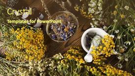  Presentation with herbal medicine - PPT theme with book-and-herbal-medicine background and a tawny brown colored foreground