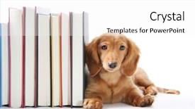  Presentation with end - PPT layouts consisting of book end puppy background and a white colored foreground