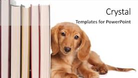  Presentation with baby book - Slides consisting of book end puppy background and a white colored foreground