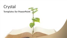  Presentation with tree of life growing - Colorful presentation design enhanced with book of nature with grass backdrop and a  colored foreground