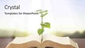  Presentation with growth - Slide deck enhanced with book of nature with grass background and a  colored foreground