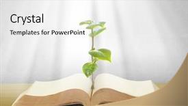  Presentation with tree - Audience pleasing presentation consisting of book of nature with grass backdrop and a  colored foreground