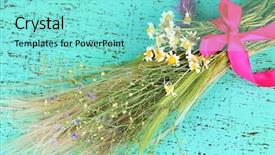  Presentation with dried herbs and dried flowers - PPT layouts consisting of book red - bouquet of wild flowers background and a seafoam green colored foreground