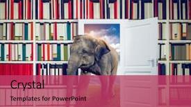 Presentation with elephant - Cool new slide deck with book shelf in library backdrop and a red colored foreground
