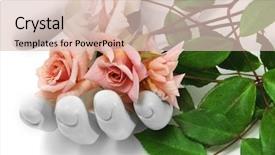  Presentation with thorn - PPT theme with book thorn - roses background and a  colored foreground