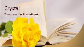  Presentation with yellow rose - Theme enhanced with book with yellow rose background and a  colored foreground