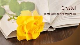  Presentation with rose yellow - Cool new PPT theme with book with yellow rose backdrop and a  colored foreground
