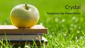  Presentation with back school education - Amazing PPT theme having books on grass education backdrop and a gold colored foreground