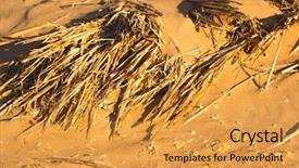  Presentation with pattern - Colorful slide deck enhanced with boondock - desert sand pattern texture background backdrop and a gold colored foreground
