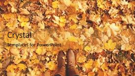  Presentation with autumn leaves - Slide set with boots on the autumn background and a gold colored foreground