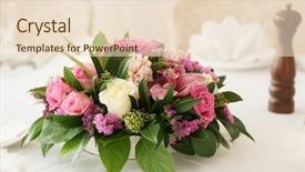  Presentation with tulips - Beautiful presentation featuring boquet of orchid flowers backdrop and a lemonade colored foreground